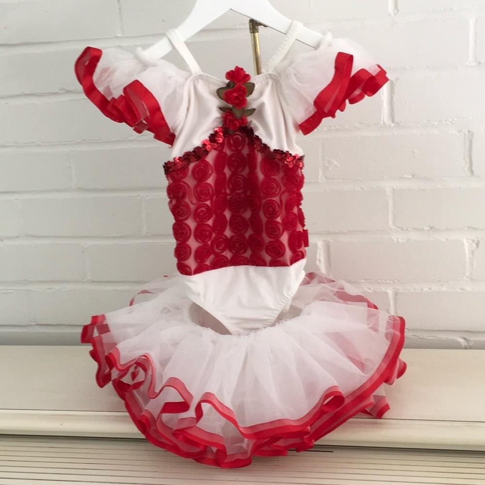 A Wish Come True Toddler Girl Frilly Tulle Sequin Leotard Recital Dance Costume